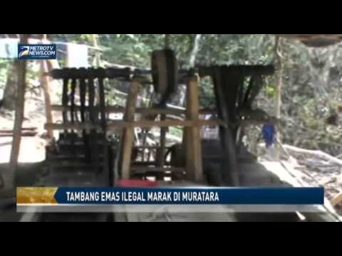 Tambang Emas Ilegal Marak di Muratara