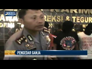 Polisi Tangkap Komplotan Pengedar Ganja