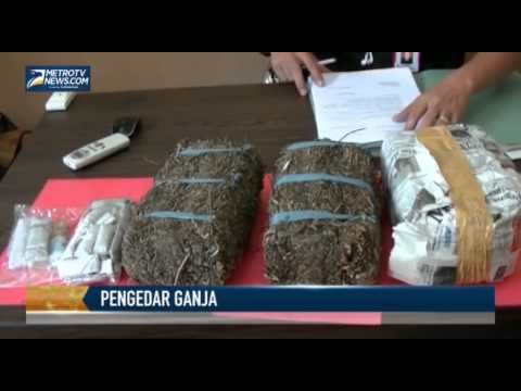 Polisi Ringkus Dua Pengedar Ganja di Lubuklinggau