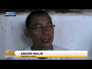 Harga Getah Karet di Mura Mulai Merangkak Naik