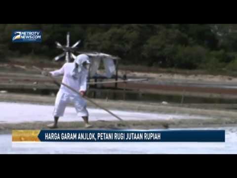 Harga Garam Anjlok, Petani Rugi Jutaan Rupiah