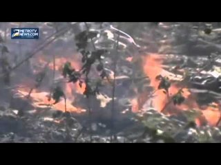 Kebakaran Hutan Jati Ancam Ganggu Jalur Pantura Tuban