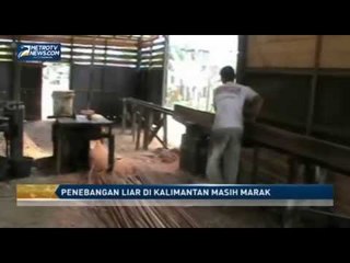 Penebangan Liar di Kalimantan Masih Marak