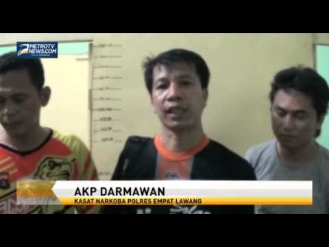 Polisi Temukan Empat Hektar Ladang Ganja di Empat Lawang