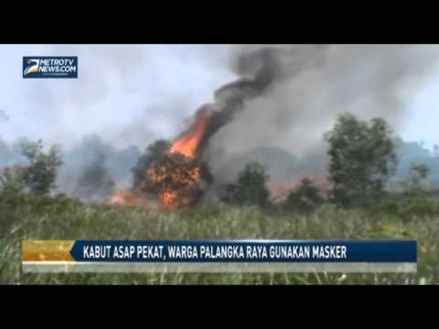 Kabut Asap Pekat, Warga Palangka Raya Gunakan Masker