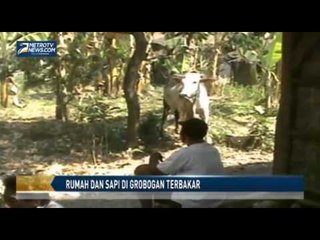 Rumah dan Sapi di Grobogan Terbakar