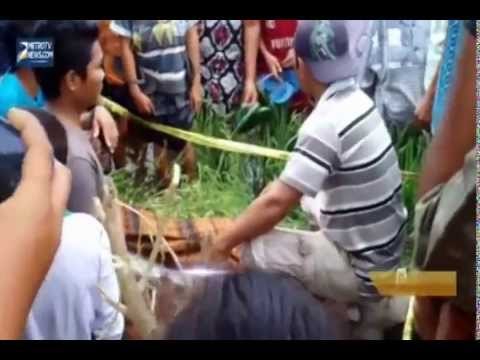 Bocah Dua Tahun Tewas Terseret Arus Selokan