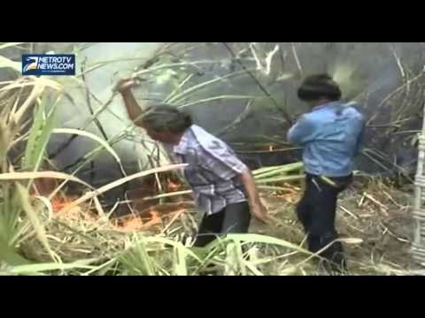 5 Hektar Kebun Tebu Siap Panen di Mojokerto Ludes Terbakar