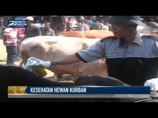 Dispertan Pantau Ketat Kesehatan Sapi Kurban