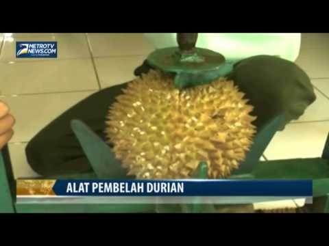 Siswa SMP Ciptakan Alat Pembelah Durian
