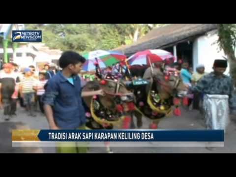 Tradisi Arak Sapi Karapan Keliling Desa