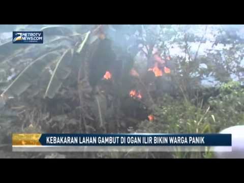 Kebakaran Lahan Gambut di Ogan Ilir Bikin Warga Panik