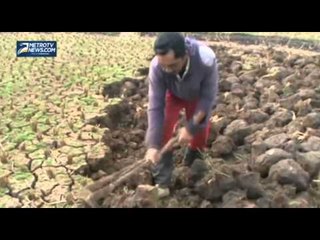 Kekeringan, Petani Alih Profesi Jadi Kuli Bangunan