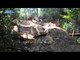 Warga Hentikan Penebangan Liar di Hutan Taman Nasional Bukit Barisan