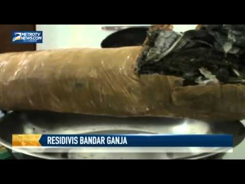 Polisi Ringkus Residivis Miliki 1 Kg Ganja