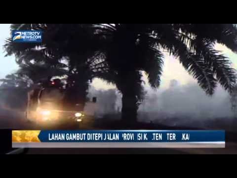 Lahan Gambut Ditepi Jalan Provinsi Kalteng Terbakar