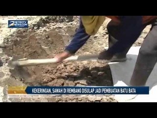 Kekeringan, Sawah di Rembang Disulap jadi Pembuatan Batu Bata