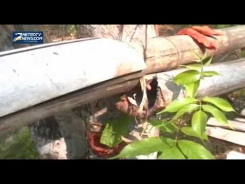 Jembatan Penghubung 2 Kelurahan di Pamekasan Rusak Parah