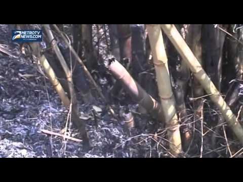 Seorang Kakek Ditemukan Tewas Terbakar di Kebun