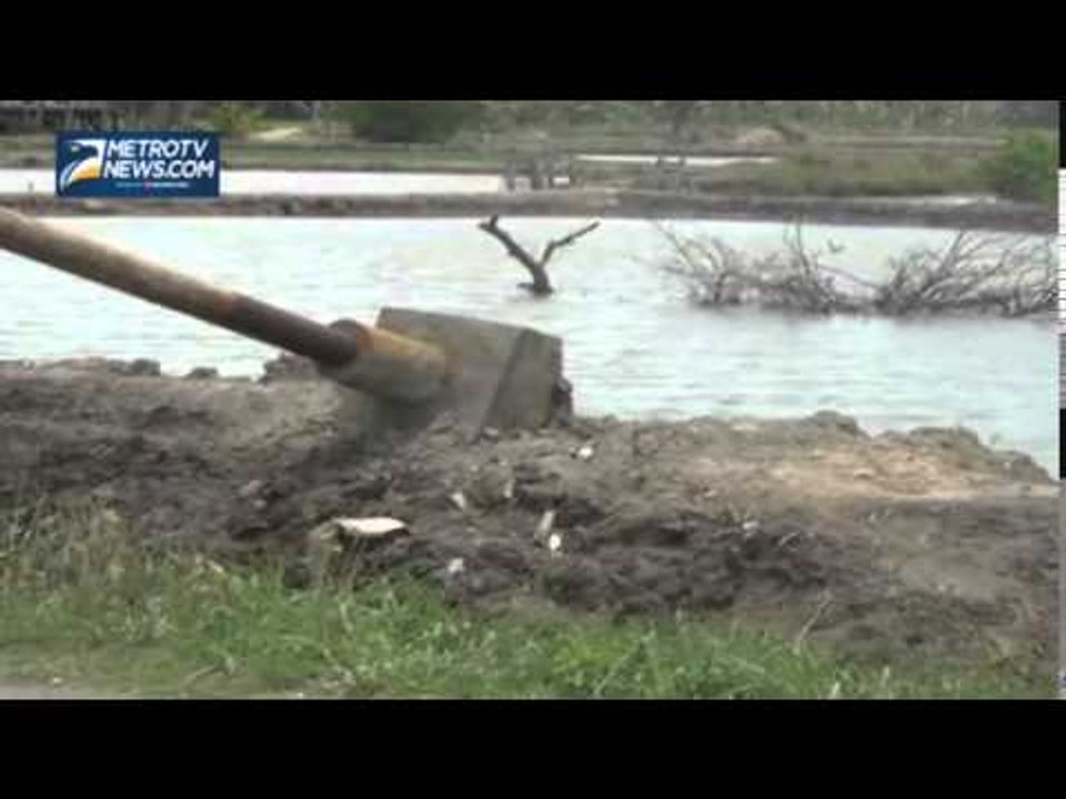 Puluhan Tiang Listrik Roboh Diterjang Angin Kencang