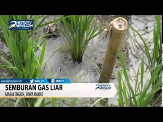 Warga Temukan Semburan Gas Liar