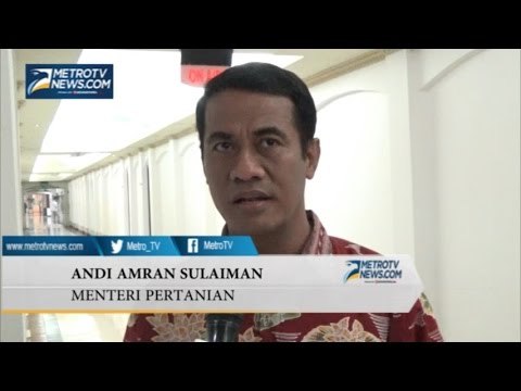 Mentan: Stok Beras untuk Lebaran Lebih dari Cukup