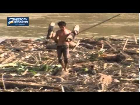 Berkah Banjir, Warga Langkat Dapat Kayu Gratis
