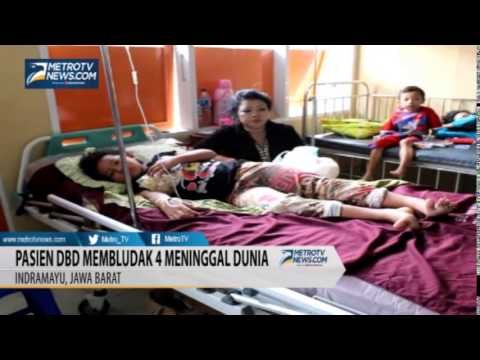 Pasien DBD di RSUD Indramayu Membludak, 4 Meninggal Dunia