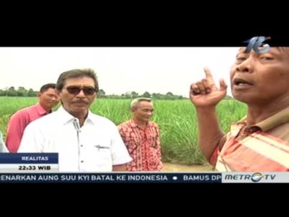 Realitas: Cerita Pahit Industri Gula