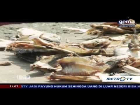 1000 Meter: Pusaran Kaum Urban