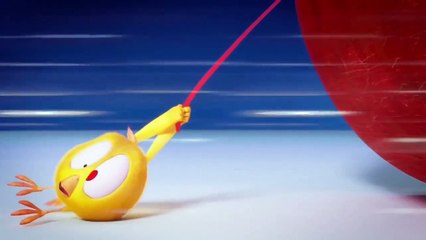 Where is Chicky? Funny Chicky #83 | Chicky Dessin Animé 2018