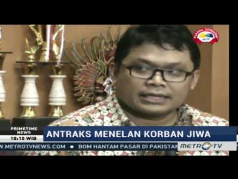 Primetime News: Waspada Antraks