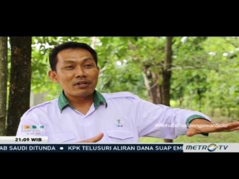 1000 Meter - Rehabilitasi Bengawan Solo