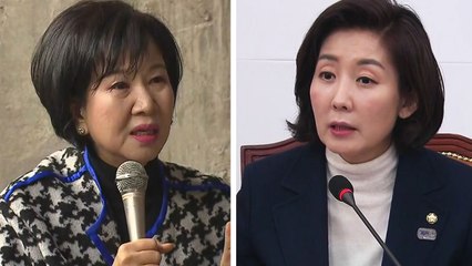 "나경원 경고한다" 손혜원 의원이 올린 글  / YTN