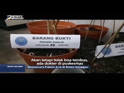 Fidelis Dibui Karena Gunakan Ganja untuk Pengobatan Istri