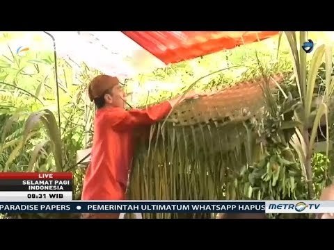 Jokowi Pasang Bleketepe untuk Pernikahan Kahiyang