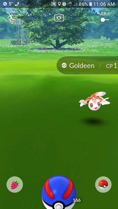 Pokémon GO Goldeen