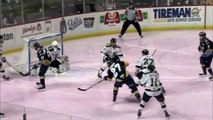 ECHL Wheeling Nailers 2 at Toledo Walleye 3