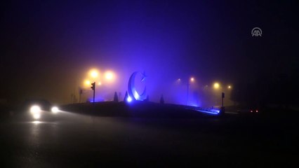 Sis etkili oldu - ADANA