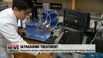 Korean researchers develop mathematical model for tumor removal by high-intensity ultrasound