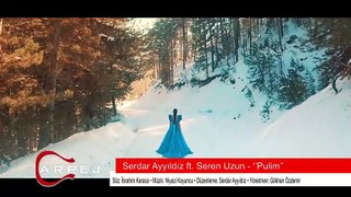 Serdar Ayyıldız feat. Seren Uzun - Pulim