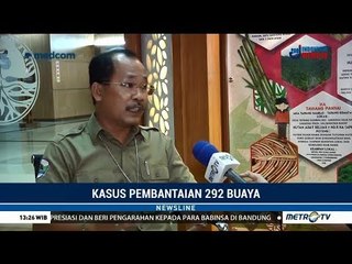 BKSDA Bantah Penangkaran Buaya di Sorong Dekat Permukiman
