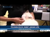 Begini Cara Memelihara Kucing yang Baik dan Benar