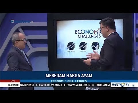 Ini Jawaban Mengapa Harga Daging Ayam & Telur Masih Tinggi (Economic Challenges)