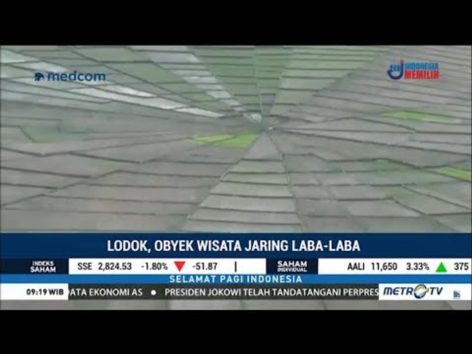 Turis Takjub Sawah Berbentuk Jaring Laba-laba R...