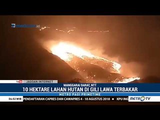10 Hektare Lahan di Gili Lawa Terbakar