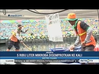 Pemprov DKI Semprotkan 5 Ribu Liter Cairan Mikroba ke Kali Item