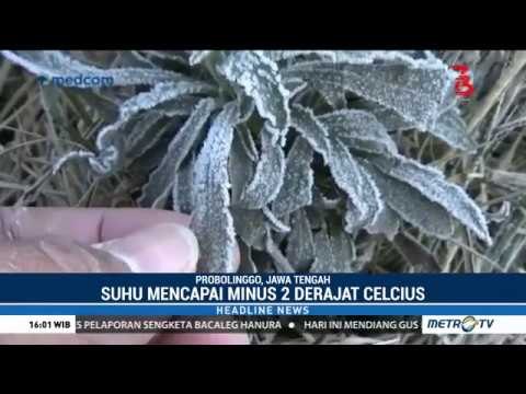 Butir Es Muncul di Gunung Bromo, Suhu Turun Hingga Minus 2 Derajat Celcius