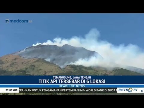 Sudah 800 Hektar Terbakar ! Lahan Gunung Sumbing & Sindoro Membara