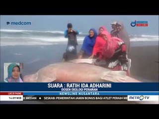 Bolehkan Berfoto dengan Bangkai Hiu?